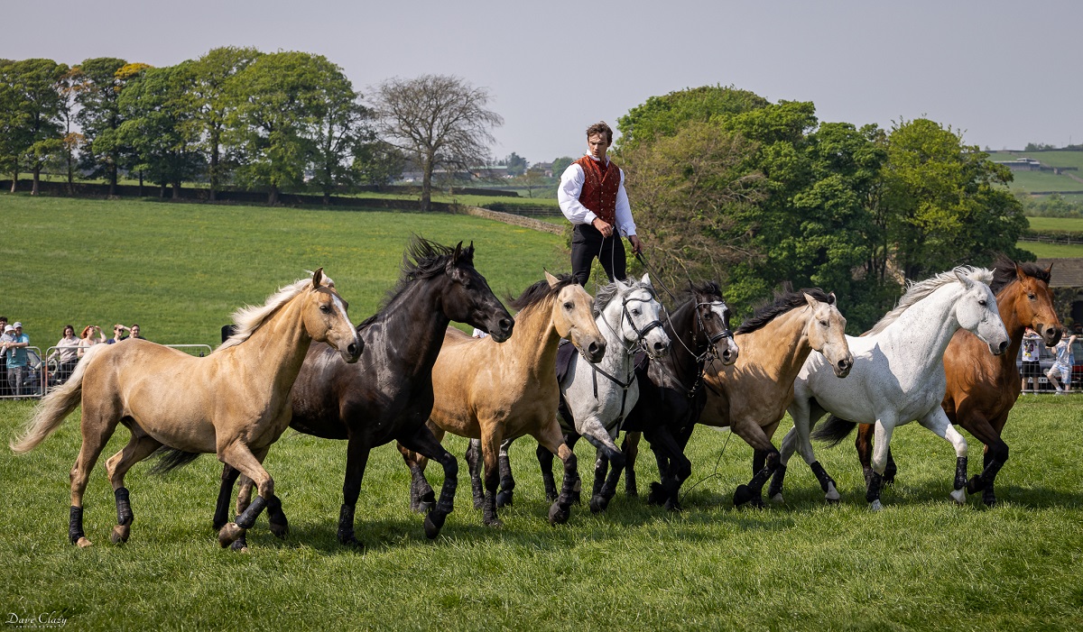 Bronte Vintage Gathering