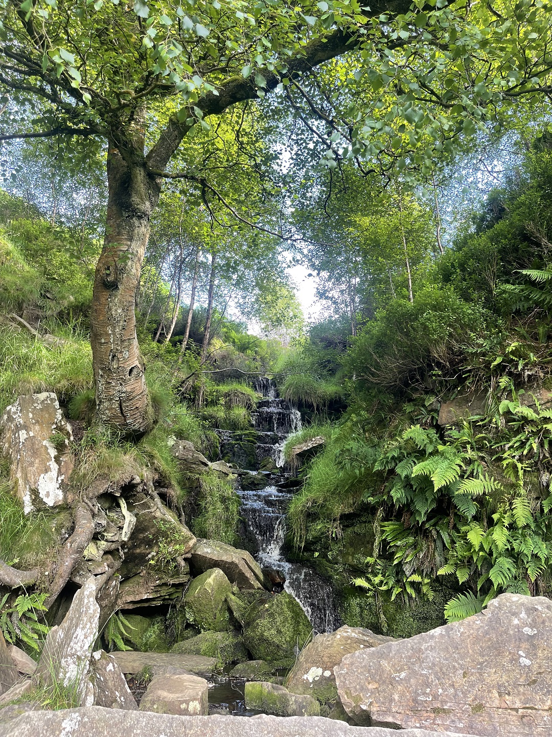 Bronte Waterfall in Summer